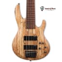 ESP/LTD LB-206SMNS Spalted Maple 6-String Electric Bass Guitar - Natural Satin