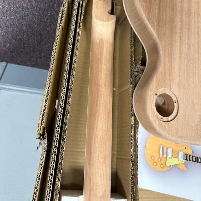 Les Paul DIY Guitar Kit set neck with carved maple top | Reverb