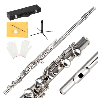 Glarry 16 Keys C Cupronickel Flute Closed Hole Separated E Key for Student Beginners Silver for sale