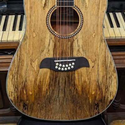 Austin 12 String Acoustic Guitar Reverb