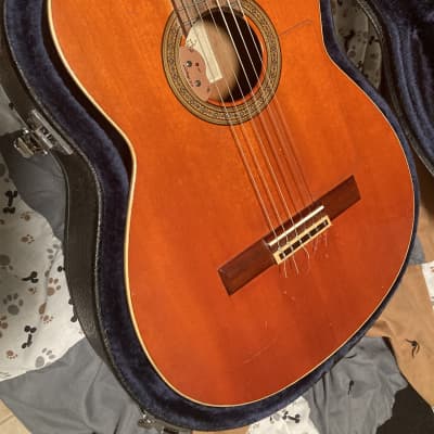 Pimentel 007 c/4 special 1985 - Cedar and rosewood for sale
