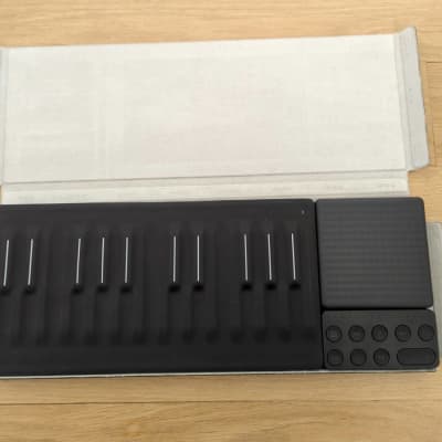 ROLI Seaboard Block+ Beatmaker Kit +ケース s-l1200.jpg