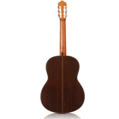 Cordoba C7 CD Nylon-String Classical Guitar, Indian Rosewood Fretboard, Cedar image 2