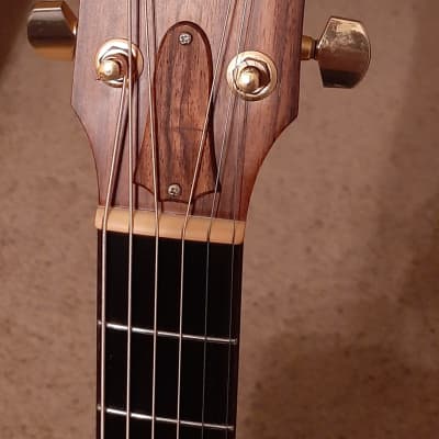 Taylor 716ce 2024 for sale