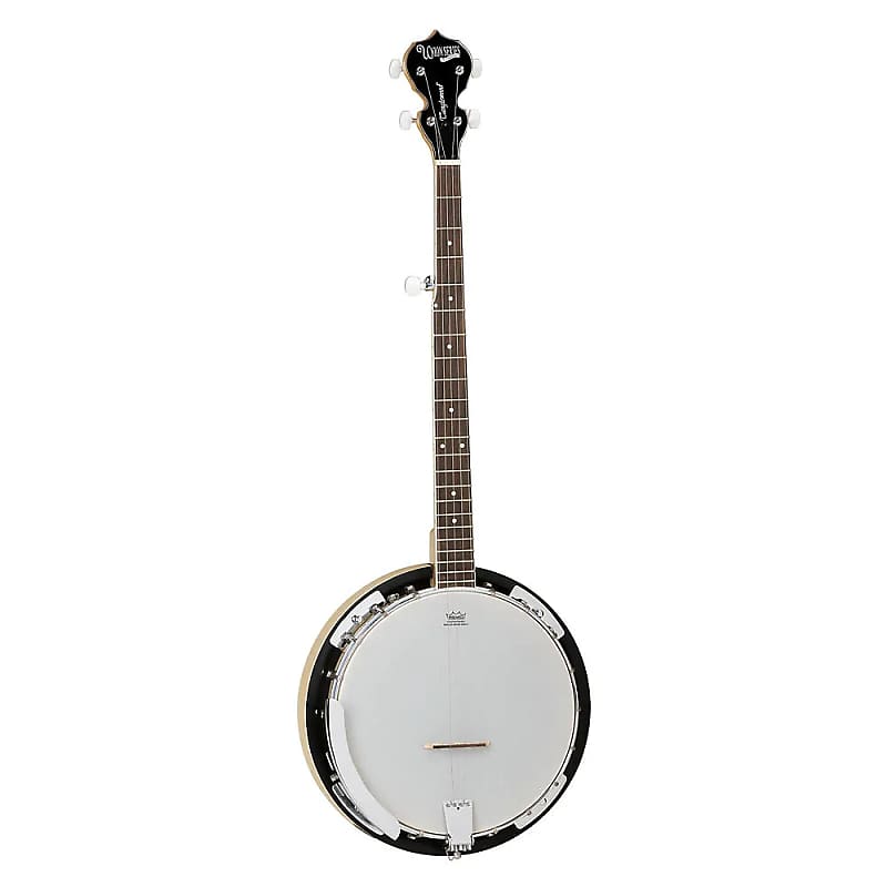 Tanglewood TWB-18-M5 Union Series 5-String Banjo image 1
