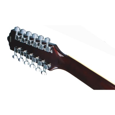 Eastwood Guitars Classic 12 - Walnut - 12-string Semi Hollowbody Electric Guitar - NEW! image 5
