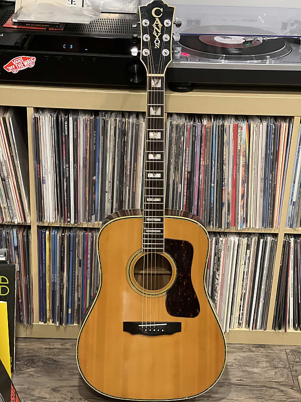 Canyon W-60 acoustic guitar guild D-55