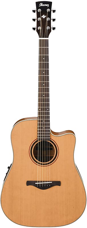 Ibanez : AW 250 ECE LG | Reverb
