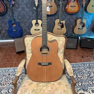 Stanford Guitars Radiotone Studio 49 D ECW Dreadnought Electrified Natural for sale