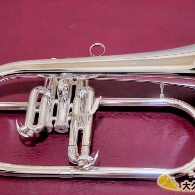 Brasspire Unicorn BPFG-850SS Flugelhorn (Brand New) | Reverb