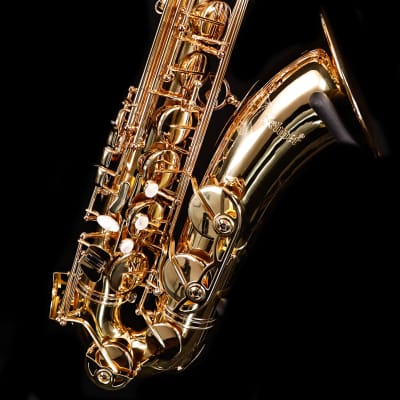 Selmer STS411 Step-Up Tenor Saxophone Outfit-Lacquer image 5