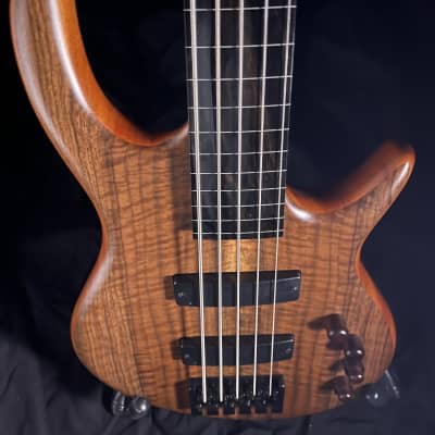 Fretless 5 string bass guitar image 2