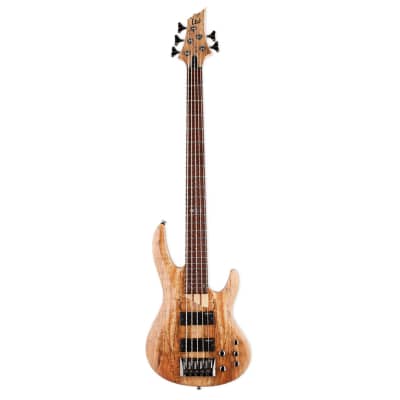 ESP LTD B-205SM 5-String Bass Guitar - Natural Satin image 2