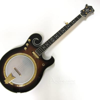 Gold Tone 5-String Electric Banjo image 1