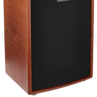 Hughes & Kettner ERA2 | 400-watt Acoustic Amplifier, Wood Finish. New! image 3