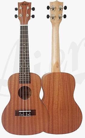 Aiersi Solid Top Concert Ukulele with Aquila Strings & Carrying Bag image 1