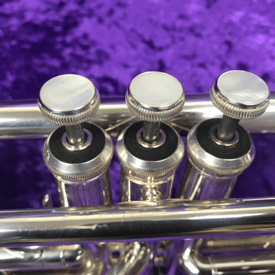 Beautiful - Holton Symphony T101B Trumpet | Reverb