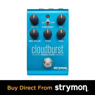 Strymon Cloudburst image 2