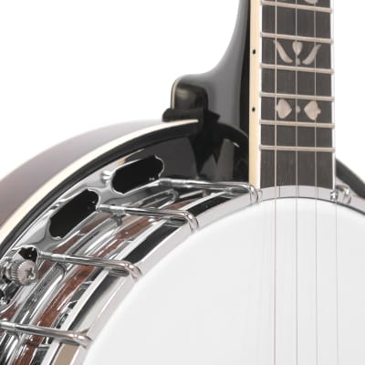 Gold Tone PS-250/L Plectrum Special Bell Brass Tone Ring 4-String Banjo w/Hard Case For Lefty Player image 6