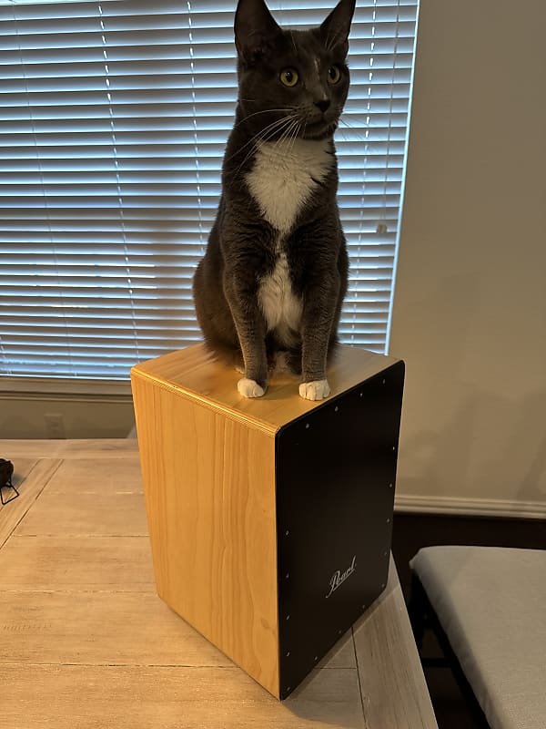 Amazon.co.jp: Pearl PBC-511CC PRIMERO BOX CAJON Cajon