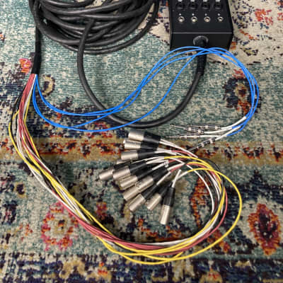 Livewire Advantage 16x4 Snake with XLR/TRS inputs and TRS Returns 50 ft. - Black image 1
