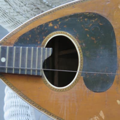 RARE vintage 1910 Victoria (Oscar Schmidt) flat-back mandolin New York / luthier project image 9