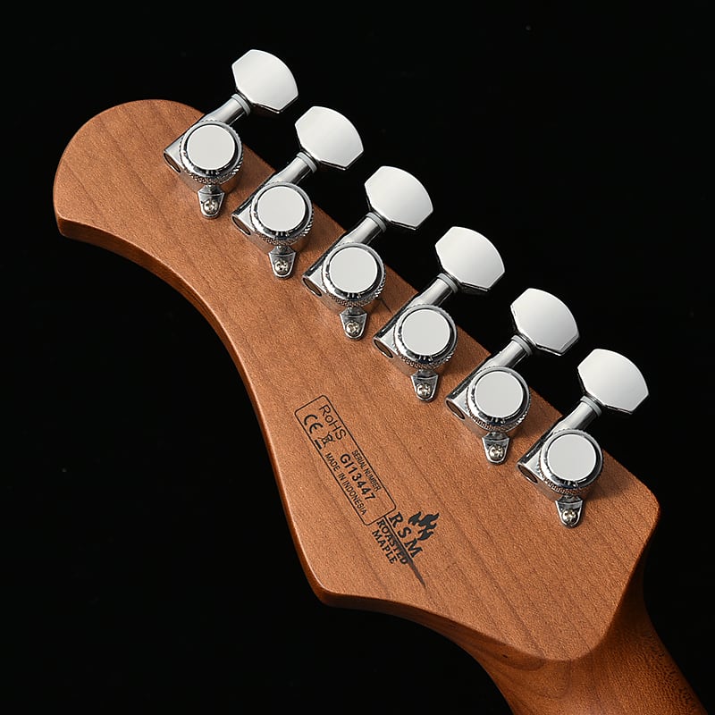 Deviser オーダーGK仕様ストラト momose bacchus 【公式通販】