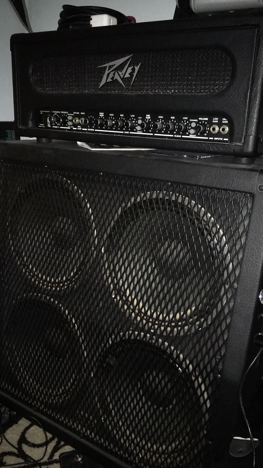 Peavey supreme 100 hot sale