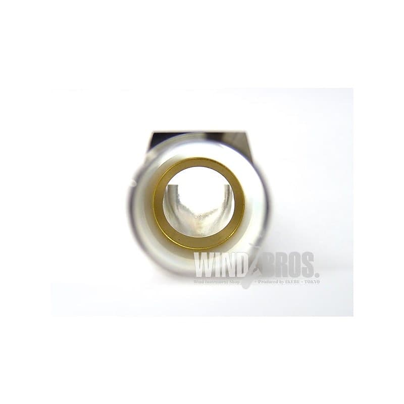 Wood Stone 'Opening: 6' Alto Saxophone Mouthpiece Woodstone