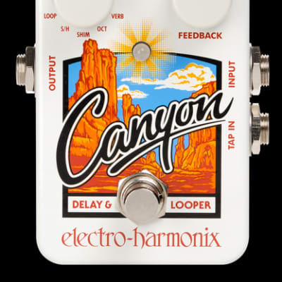 USED Electro Harmonix Canyon Delay and Looper Effect Pedal for sale