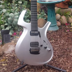 Parker Adrian Belew Signature Fly (Not DF842)  Arctic Silver Guitar/ SUPER rare BEAUTY image 2