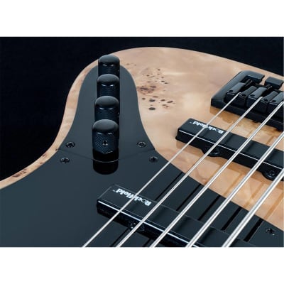Michael Kelly Custom Collection Element 5R 5-String Bass Guitar image 5