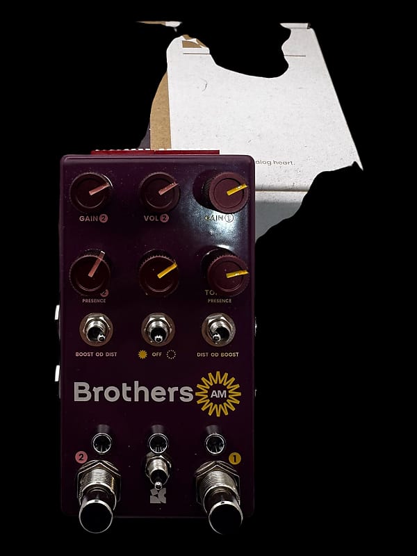 Chase Bliss Audio Brothers AM