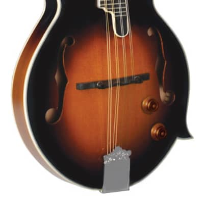 Morgan Monroe MM-100FME Spruce Top Maple Neck F Style 8 String Mandolin w/Onboard Pickup image 2