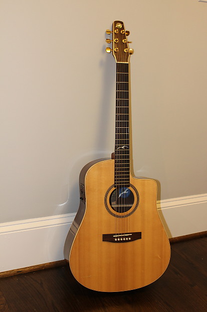 Seagull Artist Studio CW Duet II - Solid Indian Rosewood Back & Sides image 1