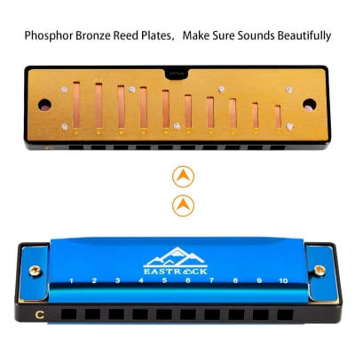 Blues Harmonica Mouth Organ 10 Hole C Key With Case, Diatonic Harmonica For Professional Player, Beginner, Students Gifts, Adult, Friends, Gift Blue image 3