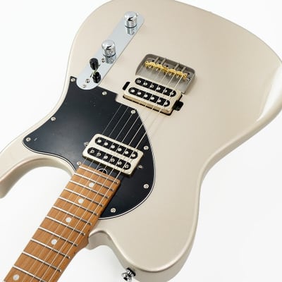 T's Guitars DTL-22 Classic RM (Shoreline Gold) [Weight3.23kg] image 9
