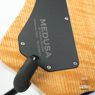 Acacia Guitars Medusa 2022 - Island Shift image 19