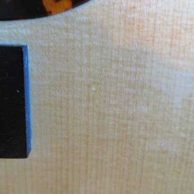 Larrivee LV-09E Rosewood Artist Series L-Body Cutout Acoustic/Electric Guitar w/ Case image 8