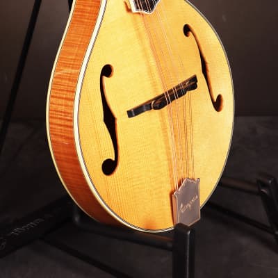 Bourgeois M5-A Aged A-style mandolin Brand New image 6