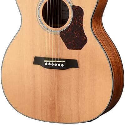 Walden O550E Natura Solid Spruce Top Orchestra Acoustic-Electric Guitar - Open Pore Satin Natural for sale