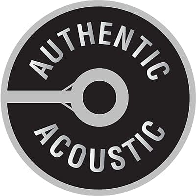 Martin MA140 Authentic Acoustic Light Gauge Guitar Strings 12-16-25-32-42-54 image 6