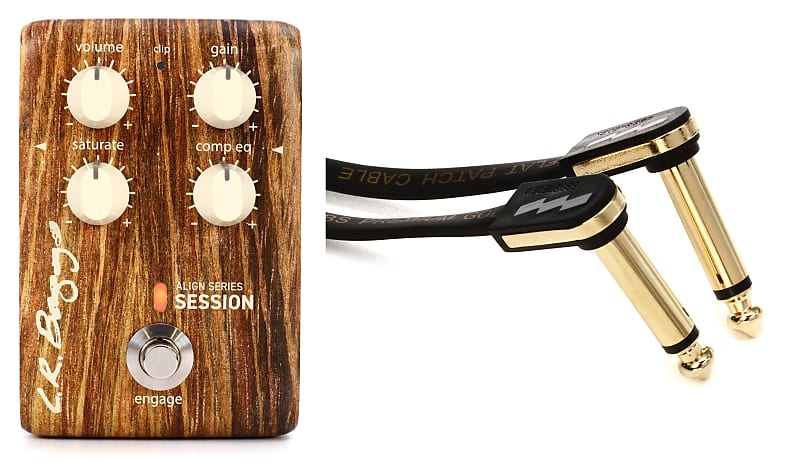 Lr baggs store session pedal