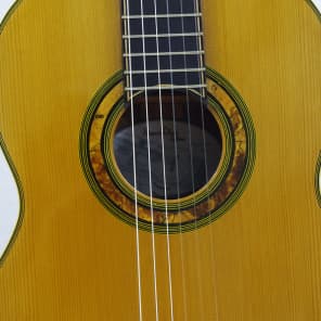 Lutherie Dion Assymetrical Concert 2016 French polish image 6