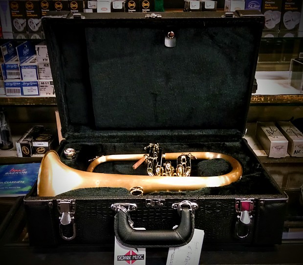 Carol Brass CFL6200GSSSLB 2015 Flugelhorn Reverb