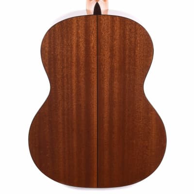 Cordoba C5 SP Nylon String Classical Acoustic Guitar, Solid Spruce Top, Natural, , Free Shipping image 7