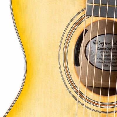 Breedlove Artista Concert Natural Shadow Acoustic-Electric Guitar-SN2581 image 9