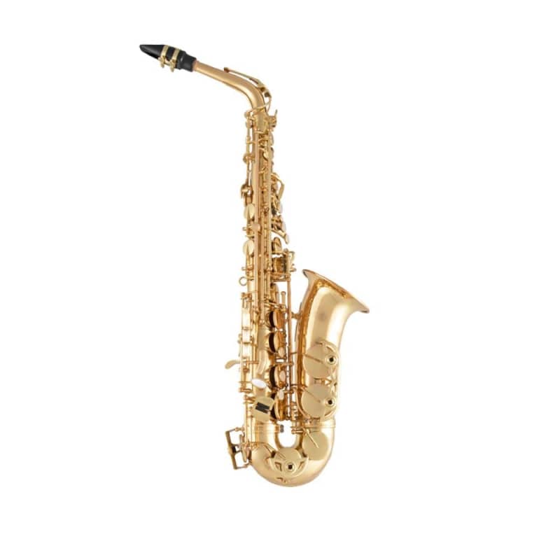 Selmer ''La Voix II'' SSS411 Soprano Saxophone - NEW MODEL! – Melody Music  Shop LLC