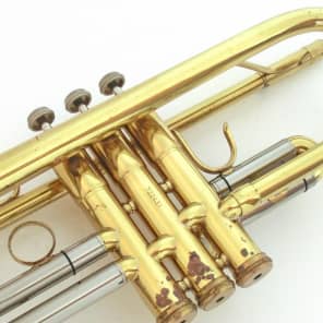 Swallow 50LN | Reverb