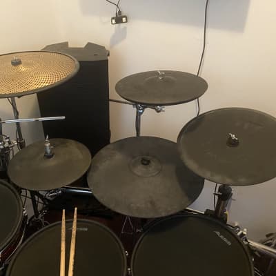 Roland CY-18DR V-Cymbal 18